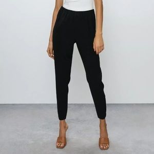 Aritzia Babaton Jogger Pant